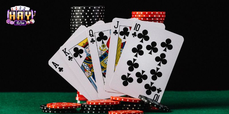 Nền tảng ổn định hỗ trợ xử lý thao tác chính xác