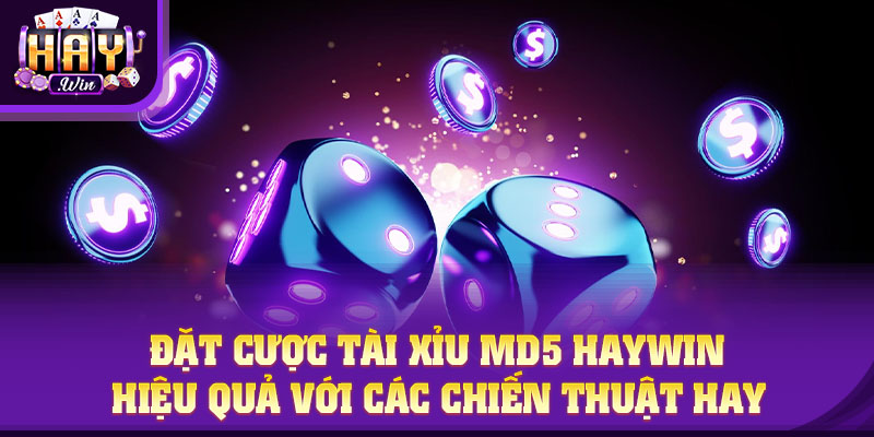 Đặt cược Tài Xỉu MD5 HAYWIN hiệu quả với các chiến thuật hay
