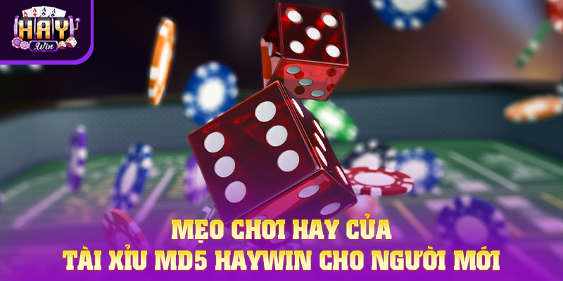Mẹo chơi hay của Tài Xỉu MD5 HAYWIN cho người mới