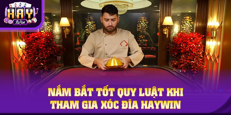 Nắm bắt tốt quy luật khi tham gia Xóc Đĩa HAYWIN